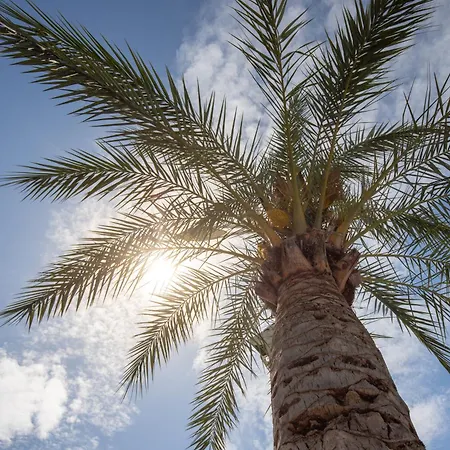 Croisette Escape - Wifi - Clim - Hypercentre Apartment